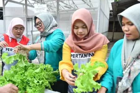 PLTS 4,4 kWp Dorong Kebun Hidroponik KWT Wahid Sapa Cilegon, Program CSR Pertamina Tembus 30 Anggota Program CSR Pertamina Energy Terminal hadirkan PLTS 4,4 kWp untuk kebun hidroponik KWT Wahid Sapa Cilegon, dorong ketahanan pangan dan ekonomi warga.