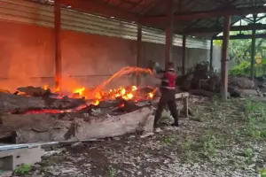 Kebakaran Bekas Gudang Museum Gunarsa di Banjarangkan, Polisi Pastikan Tak Ada Korban Jiwa Kebakaran melanda bekas gudang Museum Gunarsa di Banjarangkan, Klungkung. Polisi pastikan tidak ada korban jiwa dan api berhasil dipadamkan.