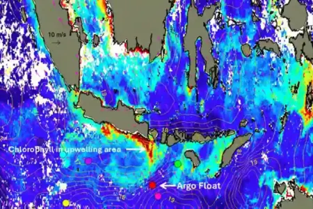 Kemarau Lebih Awal 2026 Picu Upwelling, BRIN Prediksi Lonjakan Produktivitas Laut Indonesia Kemarau lebih awal 2026 picu fenomena upwelling. BRIN prediksi lonjakan produktivitas laut dan potensi peningkatan stok ikan.