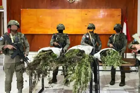 Tim gabungan temukan 226 batang ganja di Pegunungan Bintang saat patroli taktis, dua orang diamankan untuk penyelidikan.