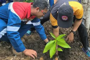 Pertamina EP Bunyu menggandeng siswa SMP di Pulau Bunyu untuk edukasi lingkungan, pengelolaan sampah 3R, dan konservasi mangrove.