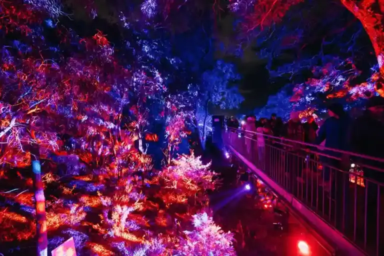 Lightscape Perth 2026 kembali hadir di Kings Park dengan lebih dari 20 instalasi cahaya imersif yang memikat wisatawan dan keluarga.